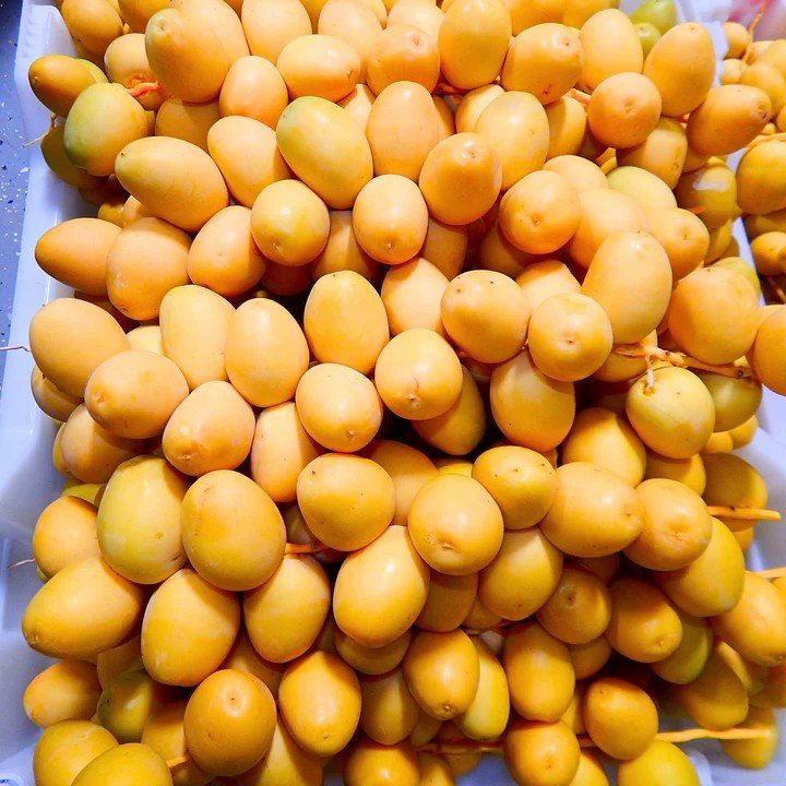 Fresh Dates "Barhi"