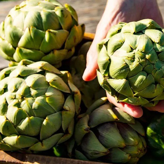 Artichoke