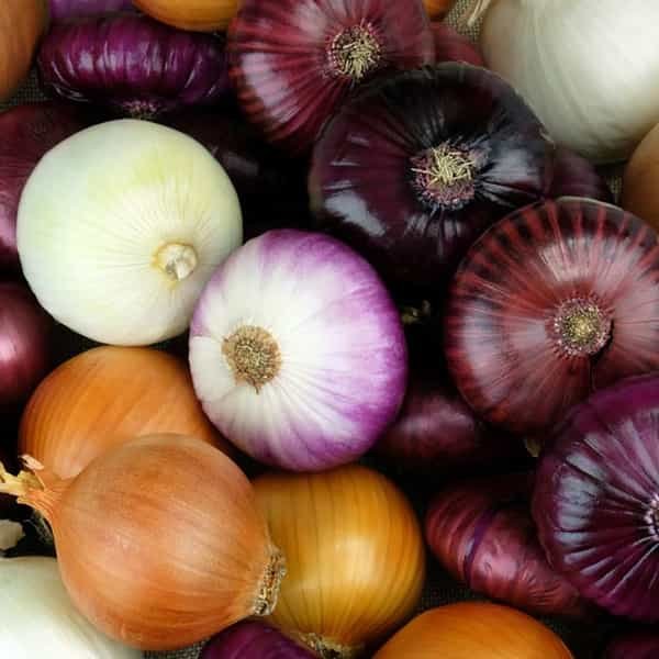 Onions