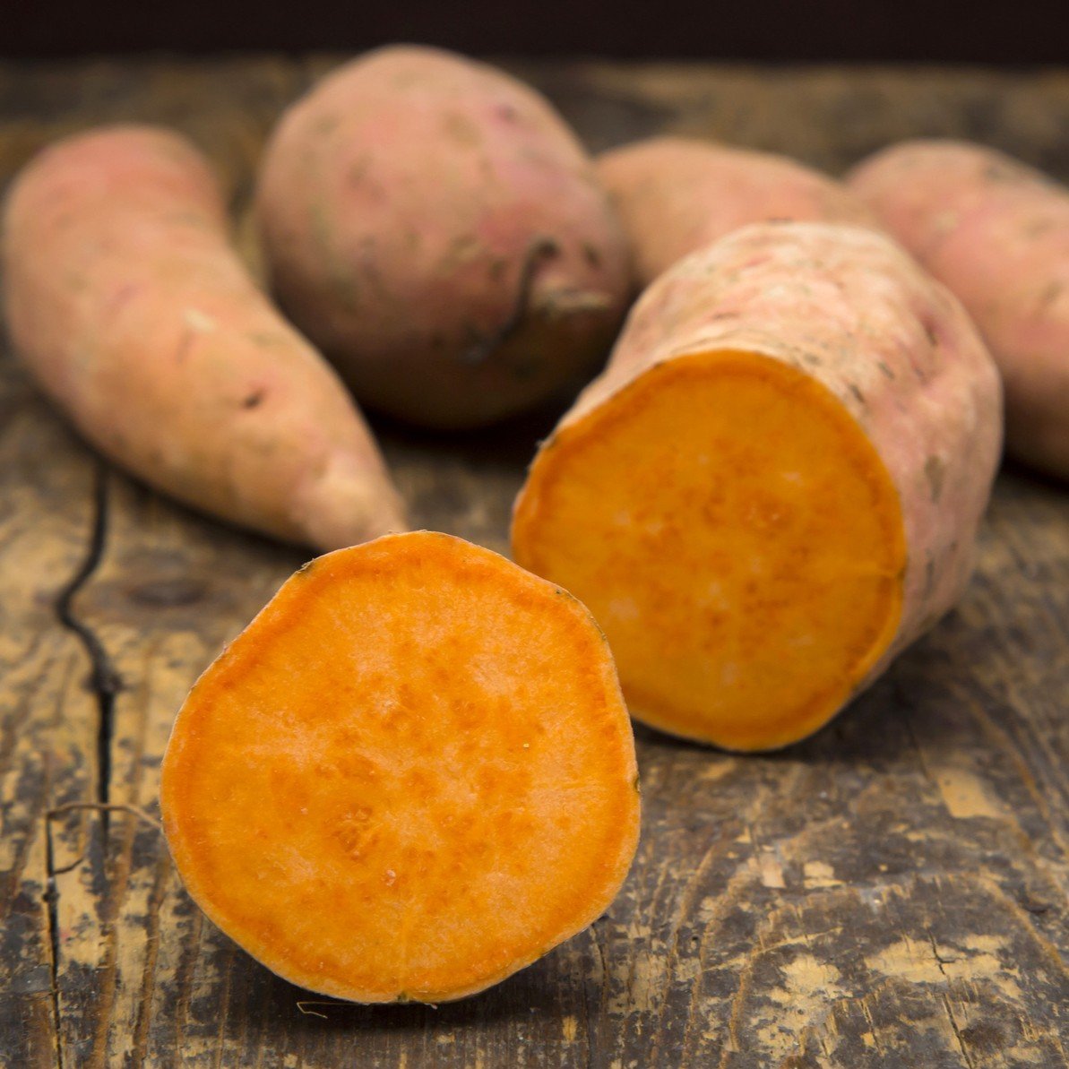 Sweet Potato